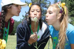 IMG_0203_zps66bd7346